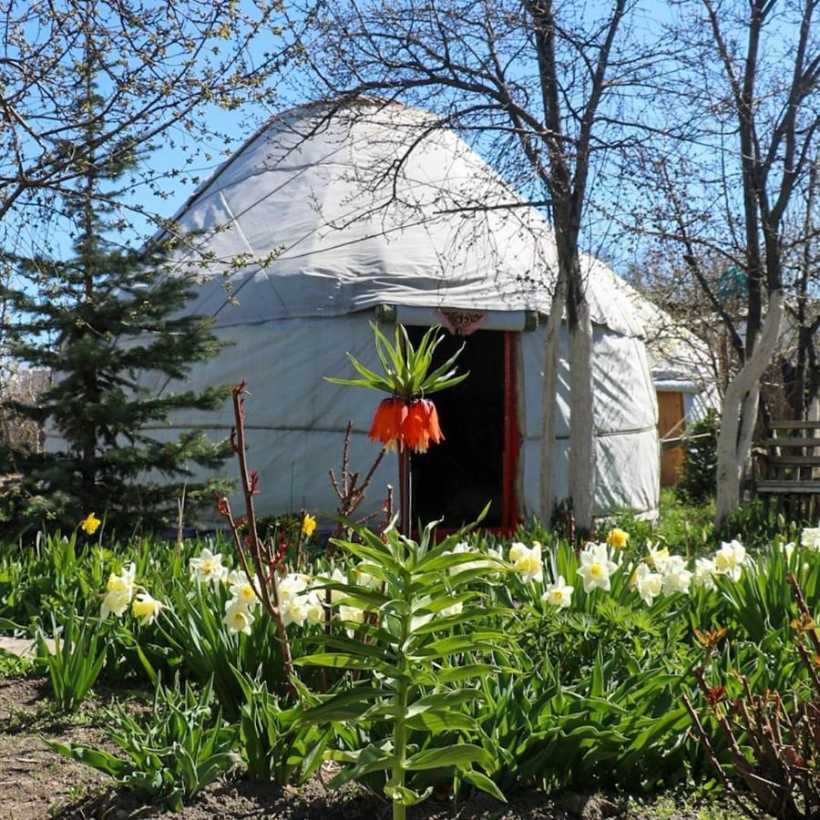 Karakol Yurt Lodge Eksteriør bilde